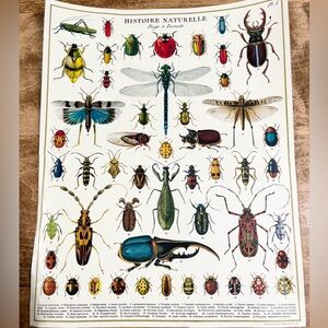 Vintage Puzzle in a tube 1000 pieces Bugs & Insects